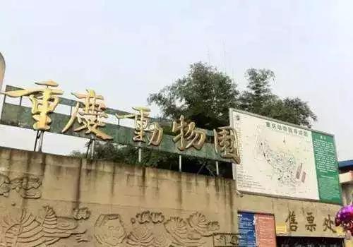 逛吃逛喝九龙坡，一站式休闲娱乐的不二选择