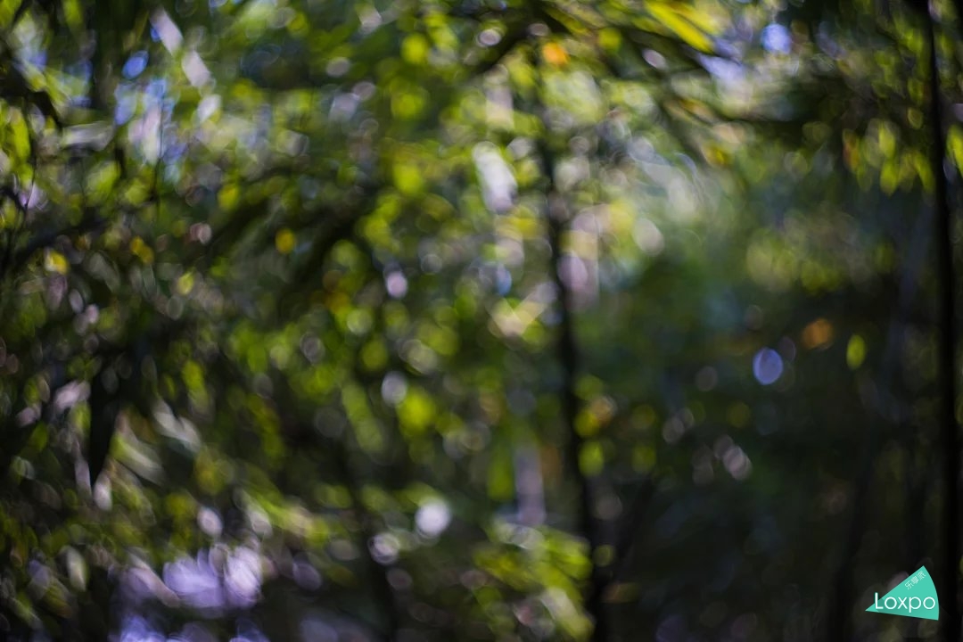 索尼a7详解,无关信仰唯有超越