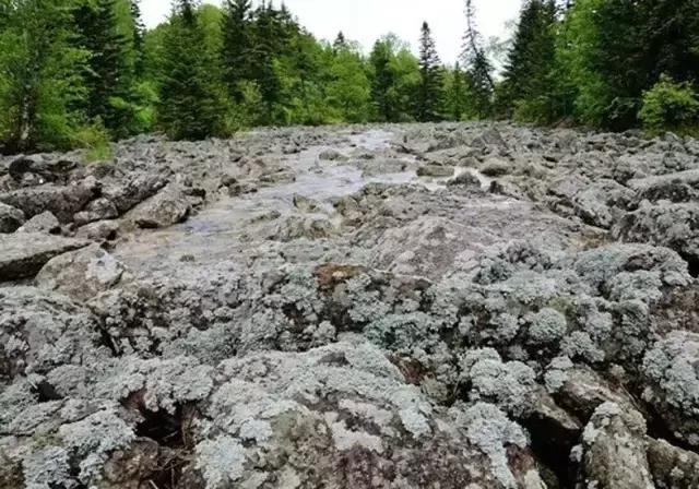 仙女山国家森林公园最美景色,仙峰国家森林公园千年红豆杉景区