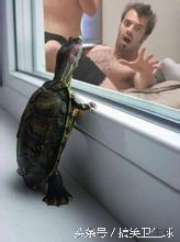 杩欎箞灏忓氨杩欎箞鏈夋墠闀垮ぇ浜嗕笉,杩欎箞灏忓氨杩欎箞鍘夊闀垮ぇ