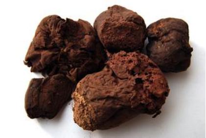 马勃亦药亦食材,紫大脱皮为真品