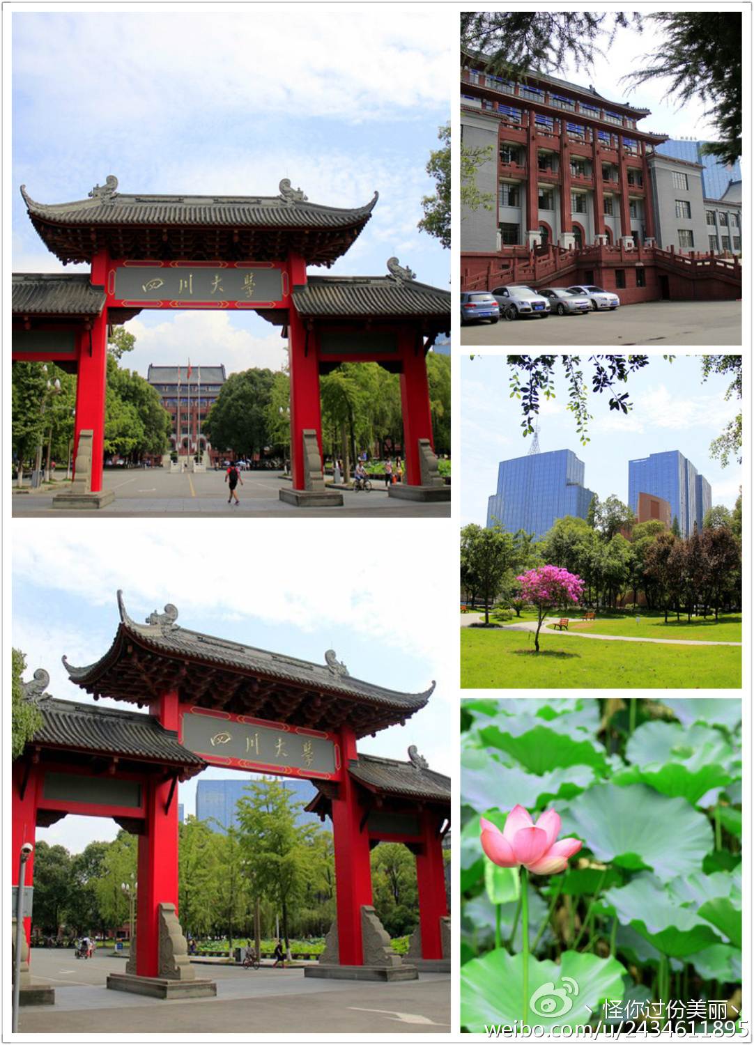 成都两天一夜吃喝攻略,成都吃喝玩乐攻略