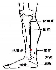 妇科不好艾灸肚子哪些穴位,妇科艾灸八髎穴位准确位置