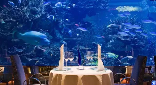 阿联酋对华免费落地签,阿联酋落地签最新通知