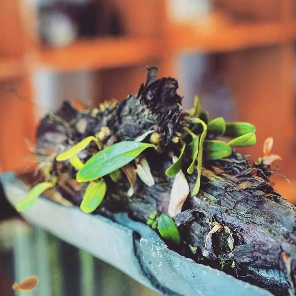 这位帅哥开着民宿却不好好做生意天南海北收藏好物分享给游客