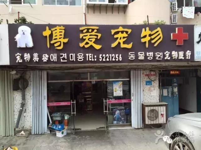 威海最全的宠物店汇总!喵奴汪主人还不速速收藏!