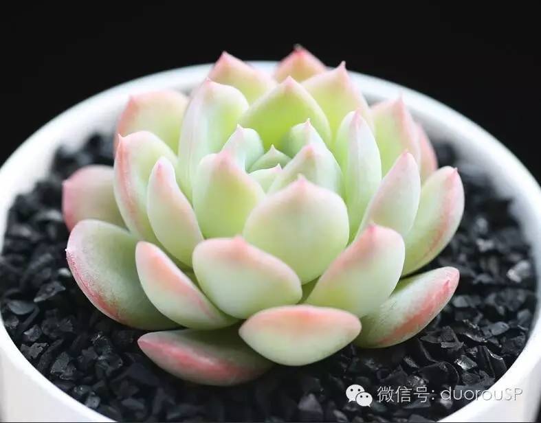 中秋送礼送水果可以吗,中秋送礼除了螃蟹还可以送什么