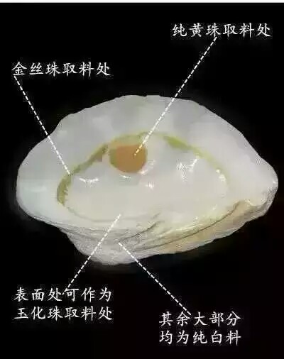 砗磲怎么挑选最好,如何挑选砗磲手镯