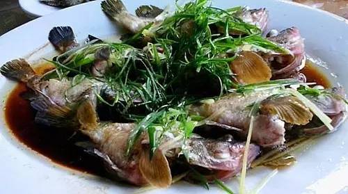 外伶仃岛岸边钓点,外伶仃岛钓鱿鱼钓点