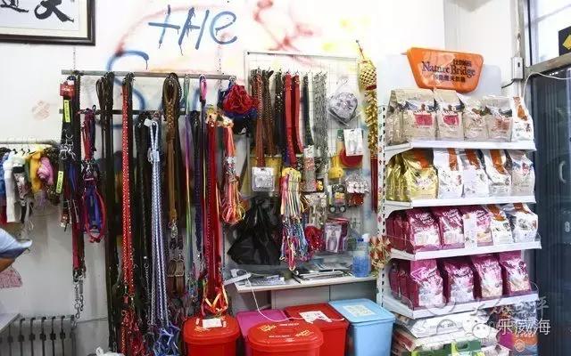 威海最全的宠物店汇总!喵奴汪主人还不速速收藏!
