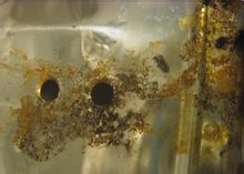 怎样才是真正的不锈钢,了解不锈钢基本知识