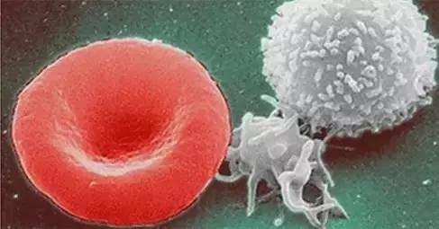 瑜伽28天轻断食,瑜伽断食三天的正确方法