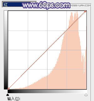 ps写真人像调色高级感黄背景,人像秋天调色ps