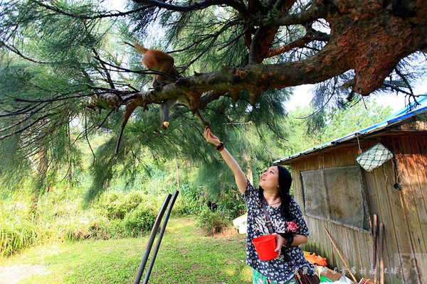 两院院士广东江门,江门院士有多厉害