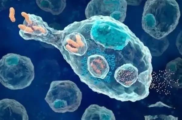 液体活检的“太子”们:ctDNA与CTC