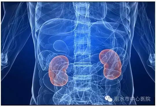 肾癌基因检测是真的有效吗,科学家破译癌细胞的秘密