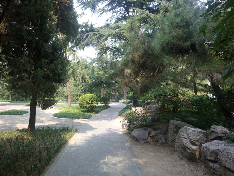 金立m6plus多大屏幕,金立m6plus玩吃鸡