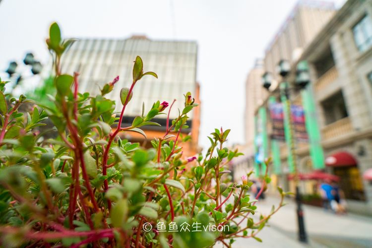 世界上最长的商业街在哪里,世界上最长步行街是哪个国家