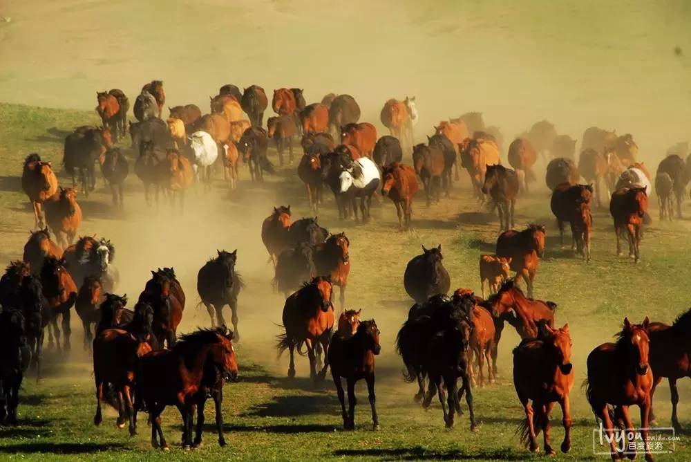 看完这5本书再也不焦虑了,看完攻略再玩游戏