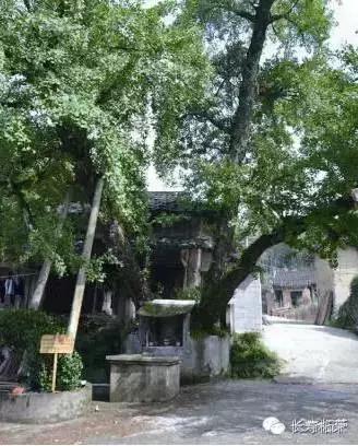 柘荣县旅游必去十大景点,柘荣县楮坪乡景点