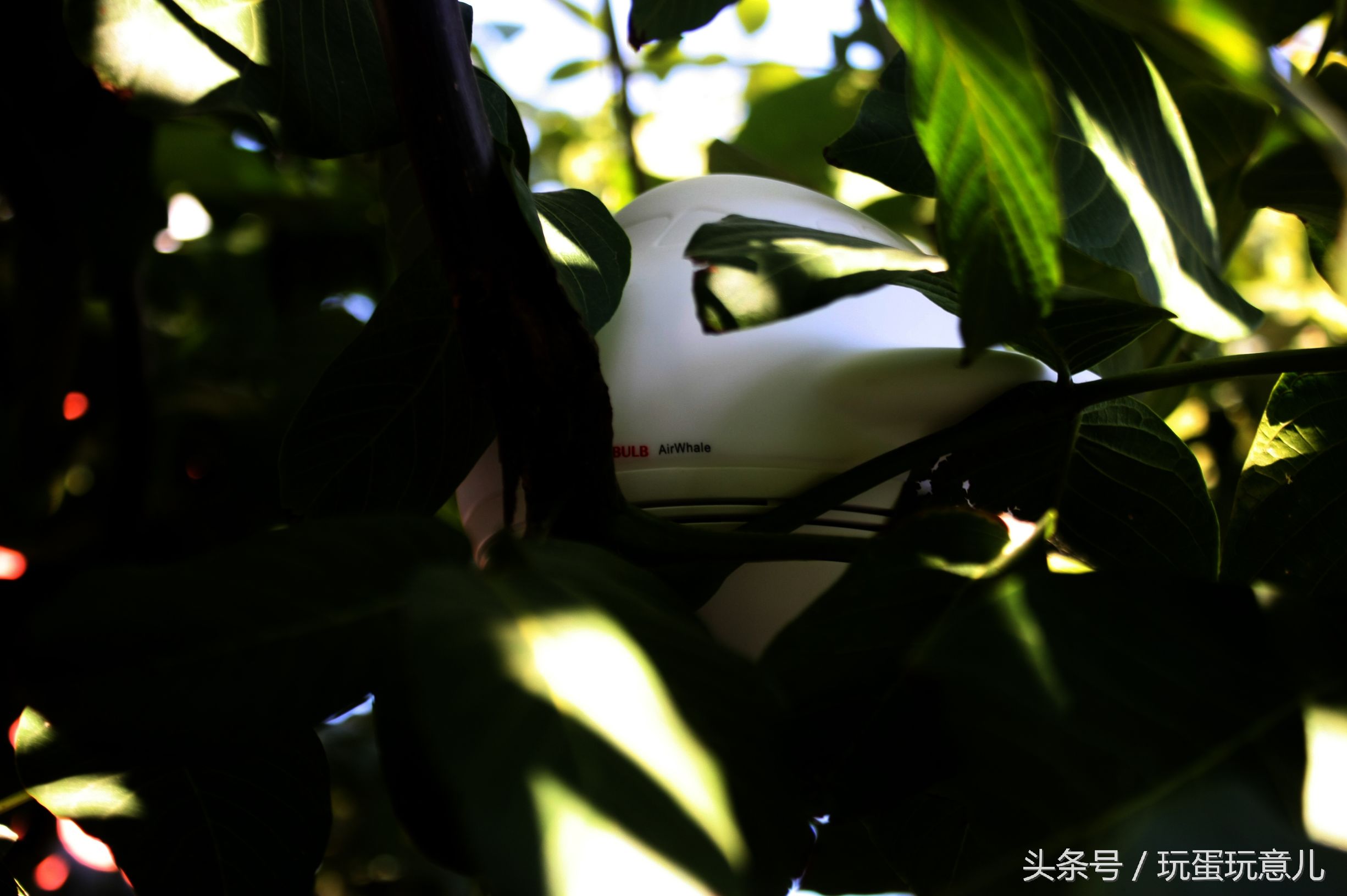 照星爷的话讲,想撩妹吗我教你!AirWhale智能音响灯体验