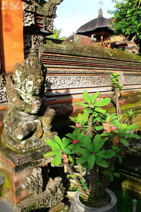 巴厘岛日常艺术照,巴厘岛顶级艺术