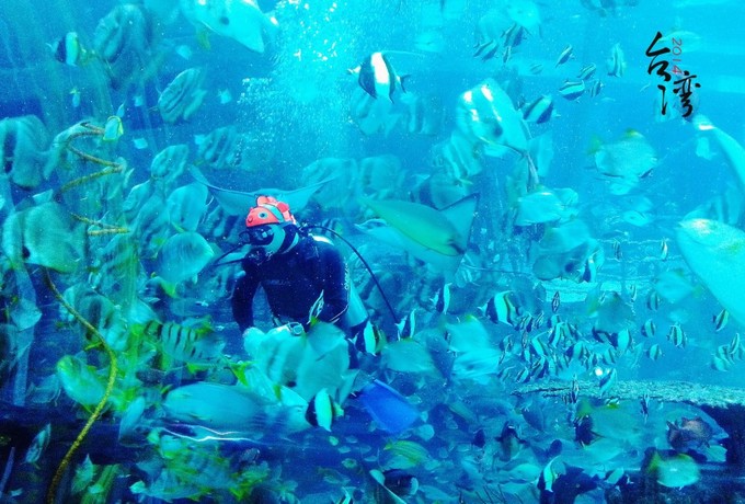 垦丁大街春节包车多少钱,从垦丁到花莲东海岸线游览包车
