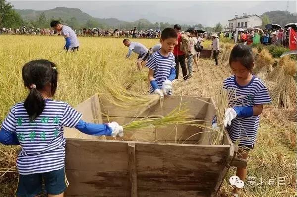 宜昌中秋观景赏月,宜昌中秋旅游人次多少