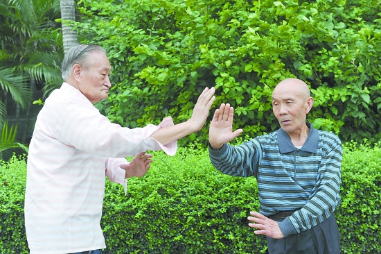 河南的拳种有哪些,河南三大拳