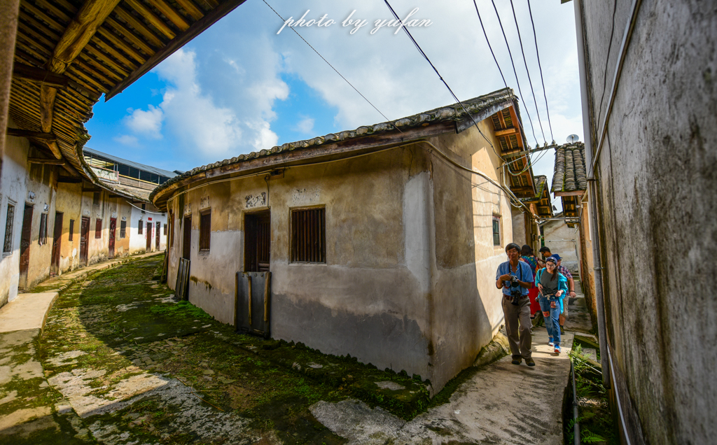 丝路奇迹:观围屋之典范,赏苏铁之传奇