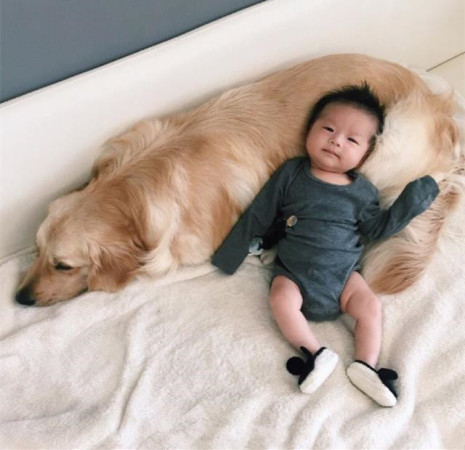 晒娃狂魔请克制自己,开启晒娃狂魔模式