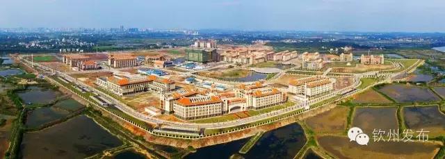 钦州市党代会报告,钦州市召开第六次党代会