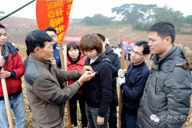 钦州市党代会报告,钦州市召开第六次党代会