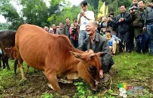 浠世好文细说“打牛鞭”