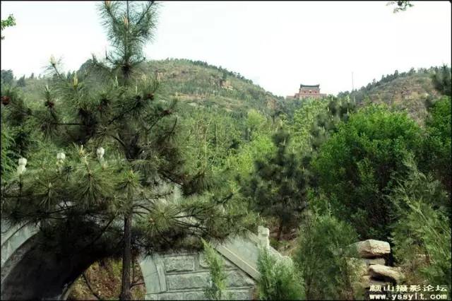 2022灞变笢鍚堟潙骞堕晣鍚嶅崟娣勫崥,2022灞变笢娣勫崥楂橀潚鍚堟潙骞堕晣鍚嶅崟