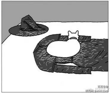 家里毛毛飞到处怎么处理,冬季家里毛毛多怎么处理