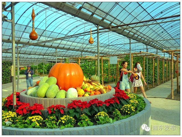 浦东的旅游攻略有哪些,浦东一日游免费景点有哪些