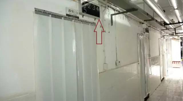 生日新衣,生日礼物衣服装扮