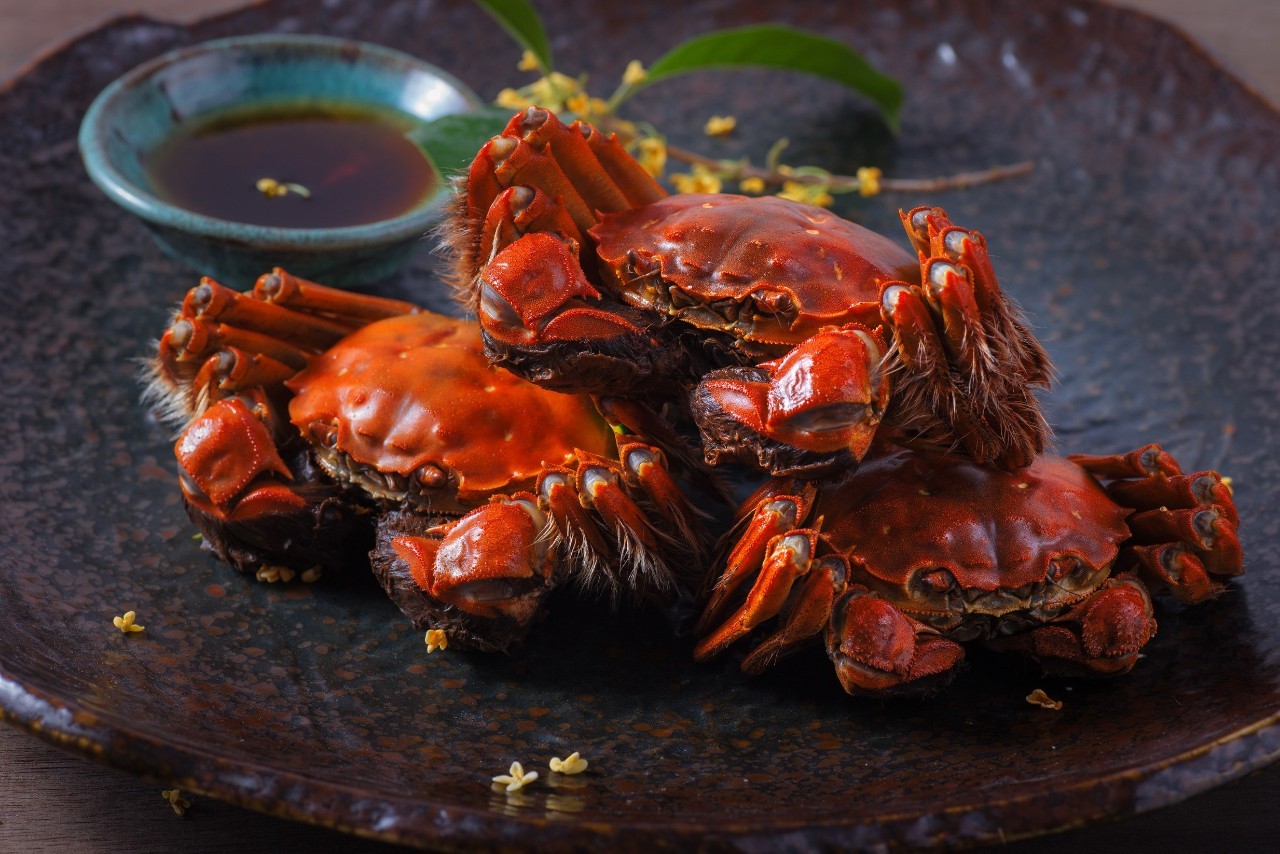 蟹姑娘阳澄湖,正经阳澄湖大闸蟹攻略