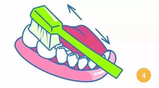 健康口腔保护牙齿,健康口腔龋齿