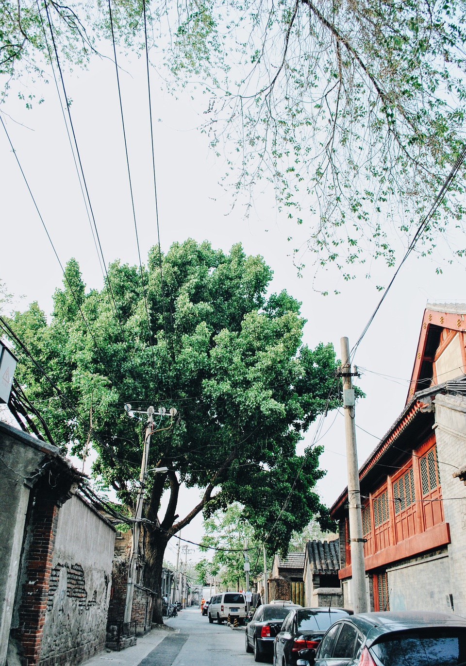 豆瓣相册全集视频,豆瓣相册北京