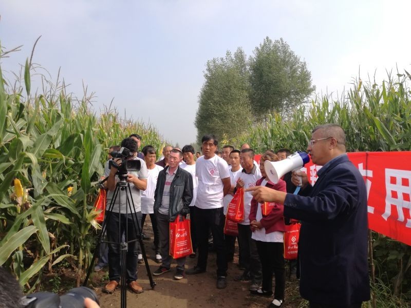 动态|每公顷少施225公斤还能增产,红四方控失肥唱响“减肥增效”示范曲