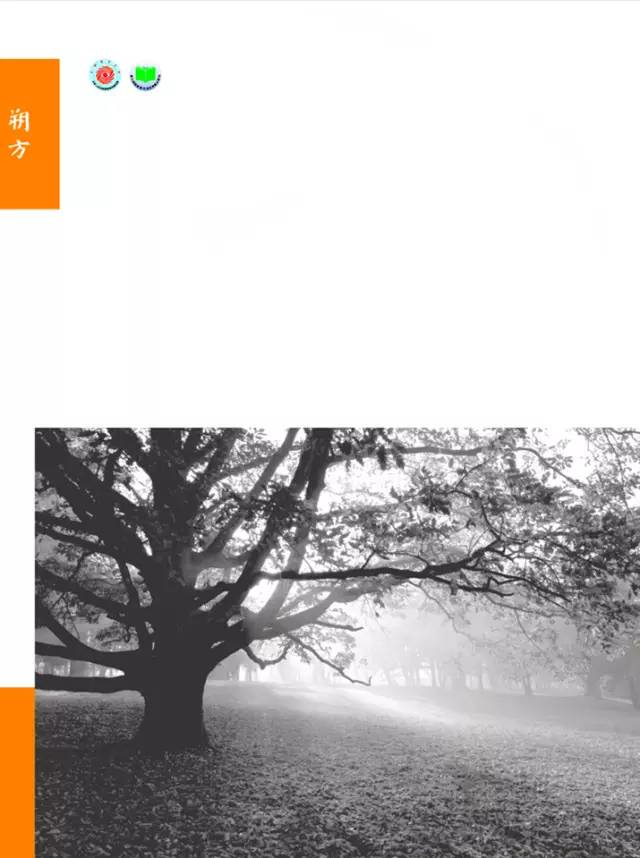 大型文学期刊名录,1980年文学期刊目录查询