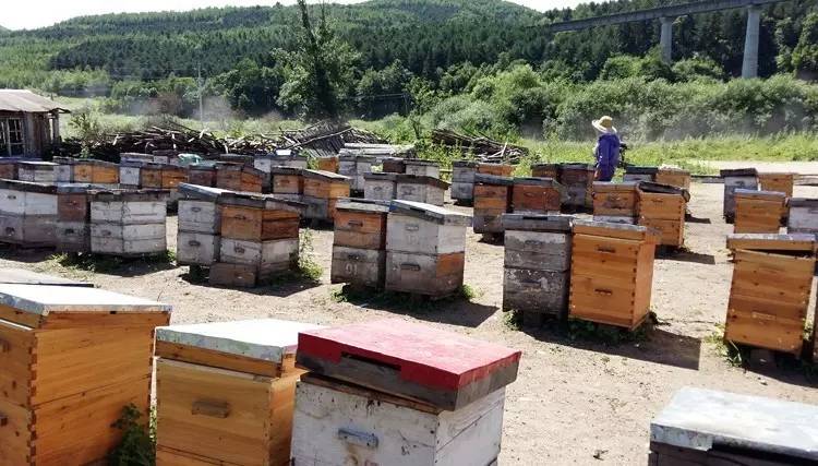 中古开箱分享,中古香水开箱