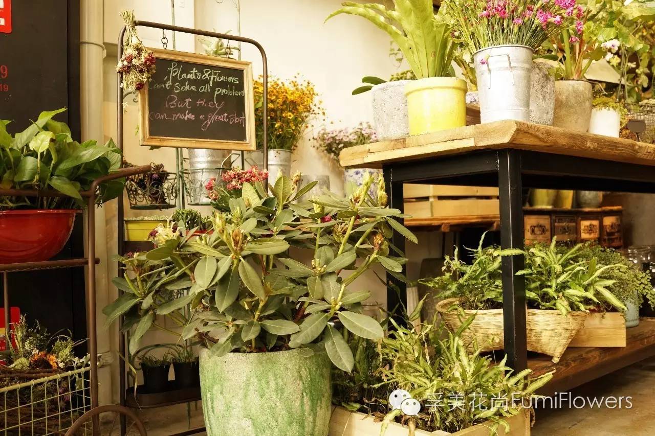 相约北平▏我们都是爱花的人