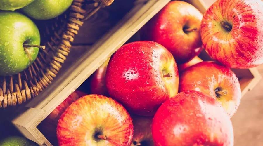 昌平区农业示范园采摘苹果,北京昌平苹果最佳采摘期