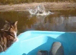 大师兄小师妹：人要是丑啊，别说桃花运，就是菊花运也没有啊！