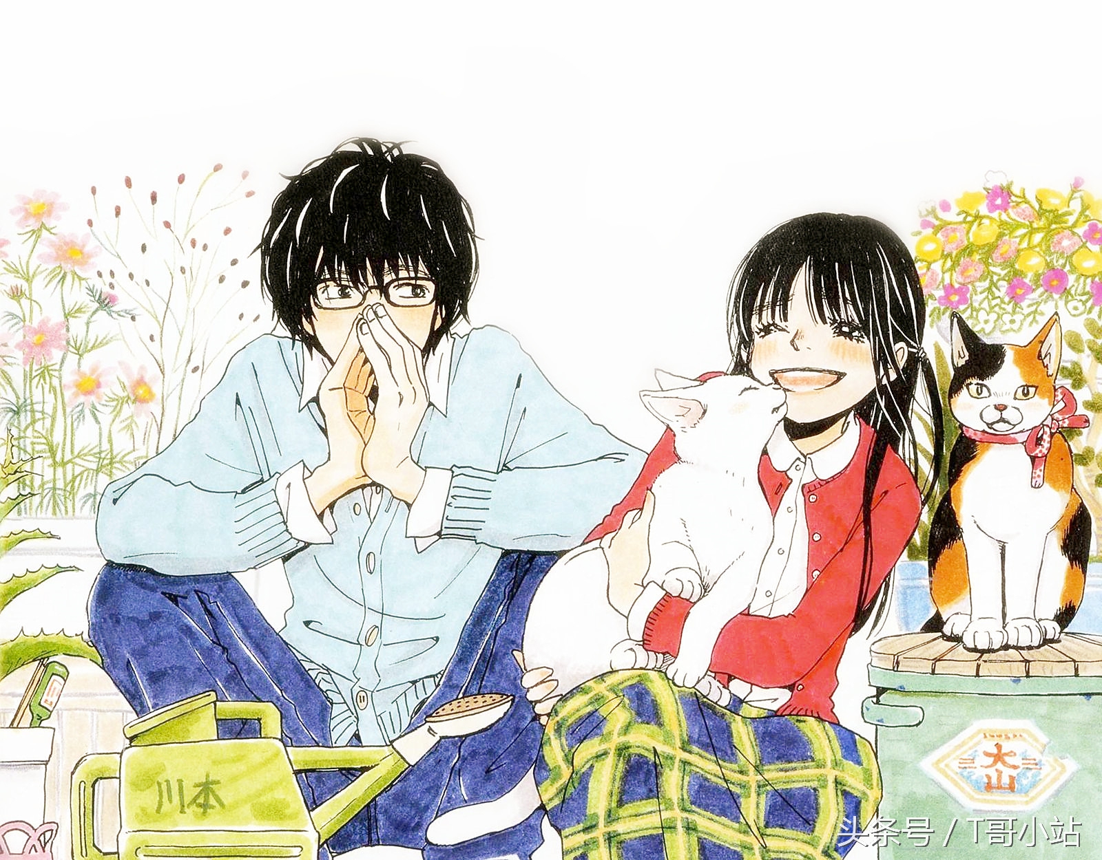 十月新番强势来袭这几部不容错过,十月新番来袭你最喜欢哪一部