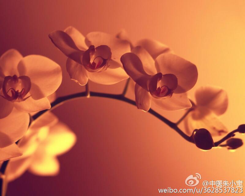 当你痛经很疼时,痛经的痛谁懂