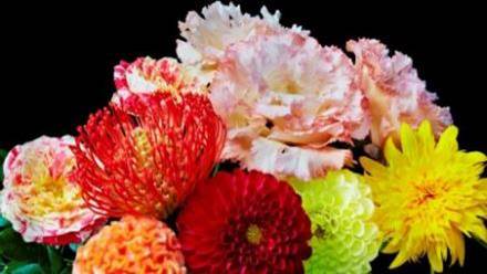 海信实力高光时刻,海信从孤注一掷到全面出击